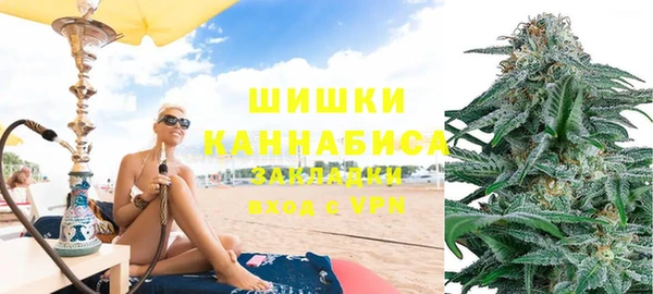 spice Аркадак
