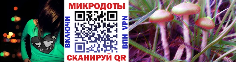 где найти наркотики  Волжск  даркнет клад  Псилоцибиновые грибы MAGIC MUSHROOMS 